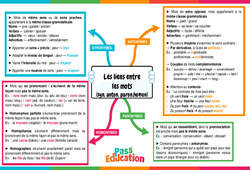 Les liens entre les mots: (synonymes, antonymes, paronymes, homonymes) - 4ème - Carte mentale - PDF à imprimer