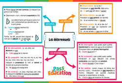 Carte mentale Les déterminants - 4ème - Carte mentale - PDF à imprimer