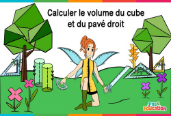 Calculer le volume du cube et du pavé droit - Cm1 - Cm2 - 6ème - Vidéo La Fée des Maths