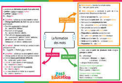 La formation des mots – 4ème – Carte mentale - PDF à imprimer