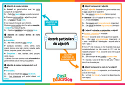 Accords particuliers des adjectifs – 4ème – Carte mentale - PDF à imprimer