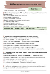 Les accords du participe passé – 4ème – Exercices corrigés - PDF à imprimer