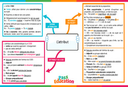 L’attribut – 4ème – Carte mentale - PDF à imprimer