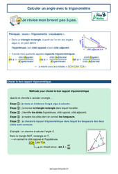 Calculer un angle avec la trigonométrie - 3ème - Brevet des collèges avec Mon Pass Maths - PDF à imprimer