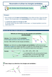 Reconnaître et utiliser les triangles semblables - 3ème - Brevet des collèges avec Mon Pass Maths - PDF à imprimer