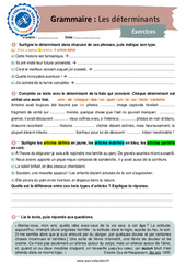 Les déterminants - 3ème - Grammaire - Je me prépare au Brevet - PDF à imprimer