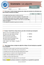 Les adjectifs - 3ème - Grammaire - Je me prépare au Brevet - PDF à imprimer