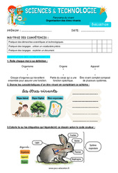 Organisation des êtres vivants – Cm1 – Evaluation – Edith Eprouvette - PDF à imprimer