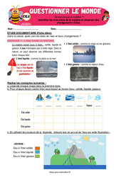 Différents états de la matière dans la nature - CE2 - Exercices - Apis & ses amis - PDF à imprimer