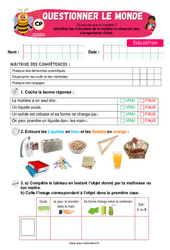 Différents états de la matière dans la nature - CP - Evaluation - Apis & ses amis - PDF à imprimer