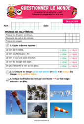 L’air et le vent - CP - Evaluation - Apis & ses amis - PDF à imprimer