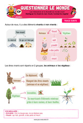 Le vivant, l’animal et le végétal - CP - Leçon - Apis & ses amis - PDF à imprimer