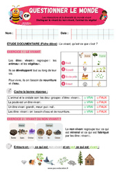 Le vivant, l’animal et le végétal - CP - Exercices - Apis & ses amis - PDF à imprimer