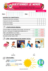 Comprendre les cycles du temps et situer des événements - CP - Evaluation - Apis & ses amis - PDF à imprimer