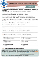 Accords particuliers des adjectifs - 3ème - Orthographe - Je me prépare au Brevet - PDF à imprimer