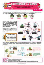 Leçon Régimes et réseaux alimentaires - CE2 - Leçon - Apis & ses amis - PDF à imprimer