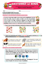 Régimes et réseaux alimentaires - CE2 - Exercices - Apis & ses amis - PDF à imprimer