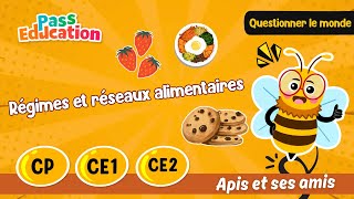 Régimes et réseaux alimentaires - CP - CE1 - CE2 - Vidéo pédagogique - Apis & ses amis - Cycle 2