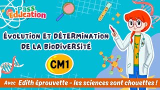Évolution et détermination de la biodiversité – CM1 – Vidéo pédagogique – Edith Eprouvette - Cycle 3