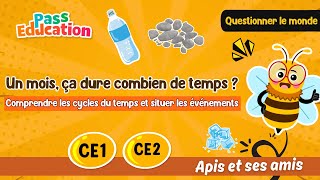 Un mois, ça dure combien de temps ? - CE1 - CE2 - Vidéo pédagogique - Apis & ses amis - Cycle 2