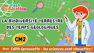 La biodiversité terrestre des temps géologiques – Cm2 – Vidéo pédagogique – Edith Eprouvette - Cycle 3