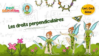 Les droites perpendiculaires - Cm1 - Cm2 - 6ème - Vidéo pédagogique - La Fée des Maths - Cycle 3