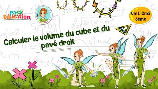 Calculer le volume du cube et du pavé droit - Cm1 - Cm2 - 6ème - Vidéo pédagogique - La Fée des Maths - Cycle 3