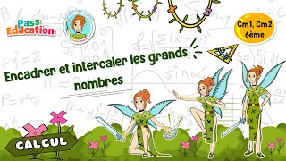 Vidéo Encadrer et intercaler les grands nombres - 6ème - Vidéo pédagogique - La Fée des Maths - Cycle 3