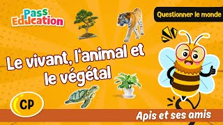 Le vivant, l’animal et le végétal - CP - Vidéo pédagogique - Apis & ses amis - Cycle 2