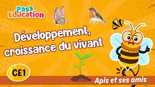 Développement, croissance du vivant - CE1 - Vidéo pédagogique - Apis & ses amis - Cycle 2