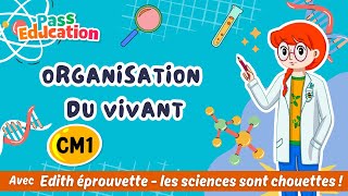 Organisation des êtres vivants – Cm1 – Vidéo pédagogique – Edith Eprouvette - Cycle 3