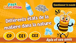 Vidéo Différents états de la matière dans la nature - CP - CE1 - CE2 - Vidéo pédagogique - Apis & ses amis - Cycle 2