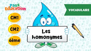 Les homonymes - Vidéo pédagogique – CM1 – CM2 – 6ème - Cycle 3