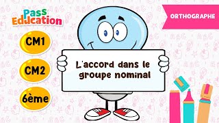 L'accord dans le groupe nominal - Vidéo pédagogique - CM1 - CM2 - 6ème - Cycle 3