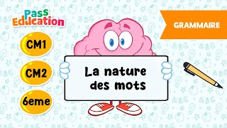 La nature des mots - Vidéo pédagogique – CM1 – CM2 – 6ème - Cycle 3