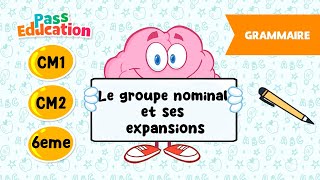 Le groupe nominal et ses expansions - Vidéo pédagogique - CM1, CM2, 6ème - Cycle 3
