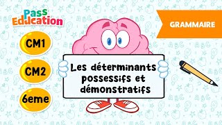 Les déterminants possessifs et démonstratifs - Vidéo pédagogique – CM1 – CM2 – 6ème - Cycle 3