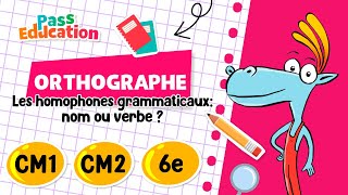Les homophones grammaticaux: nom ou verbe ? - CM1 - CM2 - 6ème - Vidéo pédagogique - Cycle 3