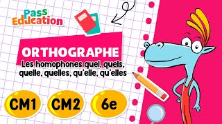 Les homophones quel, quels, quelle, quelles, .. - CM1 - CM2 - 6ème - Vidéo pédagogique - Cycle 3