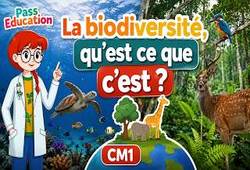 La biodiversité, qu’est-ce que c’est&nbsp;? - Évolution et détermination de la biodiversité – CM1 – Vidéo pédagogique – Edith Eprouvette - Cycle 3