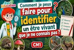 Comment je peux faire pour identifier un être vivant que je ne connais pas&nbsp;? - Évolution et détermination de la biodiversité – CM1 – Vidéo pédagogique – Edith Eprouvette - Cycle 3