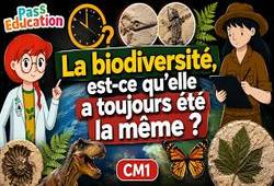 La biodiversité, est-ce qu’elle a toujours été la même&nbsp;?- Évolution et détermination de la biodiversité – CM1 – Vidéo pédagogique – Edith Eprouvette - Cycle 3