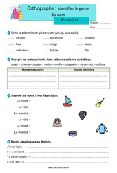 Identifier le genre du nom – Exercices d'orthographe pour le ce1 - PDF à imprimer