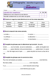 Identifier le genre du nom – Évaluation d'orthographe pour le ce1 - PDF à imprimer