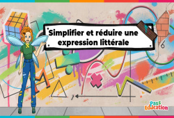 Cours et exercice : Simplifier et réduire une expression littérale - 5ème - 4ème - 3ème - Vidéo La Fée des Maths