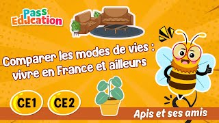 Comparer les modes de vies : vivre en France, vivre ailleurs – CE1 – Vidéo pédagogique – Apis & ses amis - Cycle 2 - PDF à imprimer
