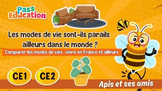 Les modes de vie sont-ils parails ailleurs dans le monde ? – CE1 - CE2 – Vidéo pédagogique – Apis & ses amis - Cycle 2