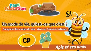 Un mode de vie, qu’est-ce que c’est ? – CP – Vidéo pédagogique – Apis & ses amis - Cycle 2