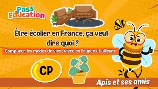 Être écolier en France, ça veut dire quoi ? – CP – Vidéo pédagogique – Apis & ses amis - Cycle 2