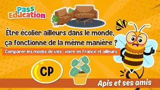 Être écolier ailleurs dans le monde, ça fonctionne de la même manière ? – CP – Vidéo pédagogique – Apis & ses amis - Cycle 2
